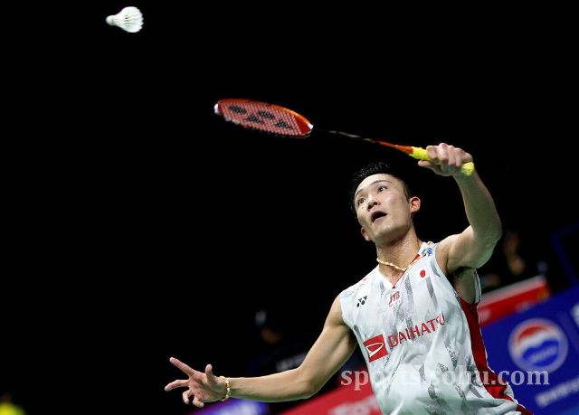 法蒂的回归 法蒂的回归