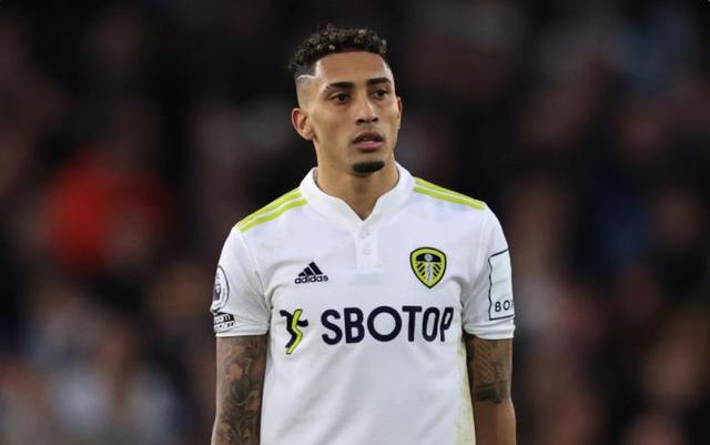 职业生涯的 职业生涯的